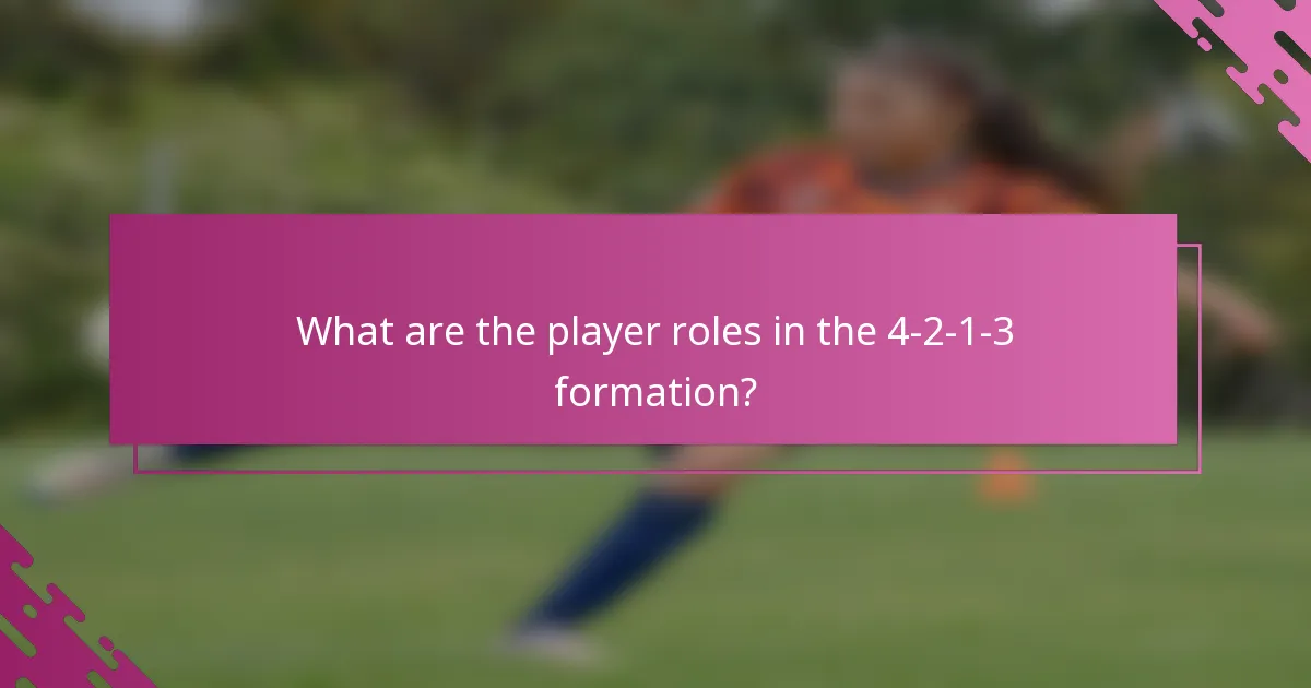 What are the player roles in the 4-2-1-3 formation?